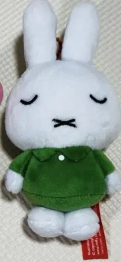 【こーびーるど様専用】緑のミッフィー ぬいぐるみ