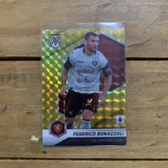 panini mosaic serie a ボナッツォーリ シリアルカード‼︎