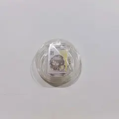アークナイツ　エンドフィールド　タンタン　ラベル缶　アクキーのサムネイル