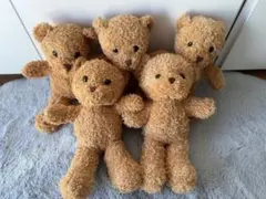 ベージュのクマ ぬいぐるみ 5体セット