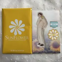 FANTASTICS 中島颯太 アクスタ