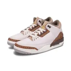 AIR JORDAN 3 RETRO ブラウン 22cm