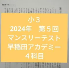2025年最新】サピックスマンスリーテストの人気アイテム - メルカリ