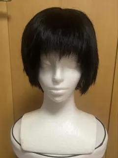 OIK iP150 カットウィッグ 美容師練習用 - メルカリ