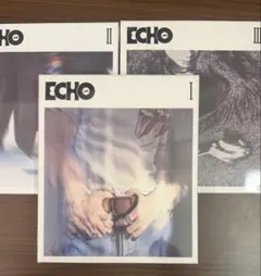 【新品未開封】 BTS JIN セカンドソロアルバムEcho 3形態　特典付き