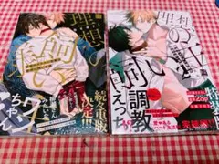 【新品未開封】職場のイケメン営業は理想の飼い主様 1・2巻 セット 特装版