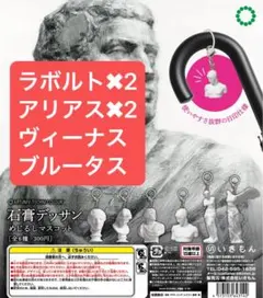 石膏　ガチャガチャ