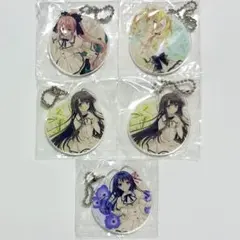 激レア ソードアート・オンライン アリシゼーション アクキー HMV限定