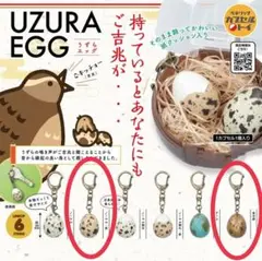 【匿名配送】ガチャ　UZURA EGG　うずらエッグ　ノーマル・赤　金の卵