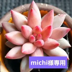 michi様 リクエスト 3点 まとめ商品