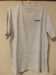 パタゴニア Tシャツ