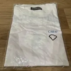 seventeen tシャツ