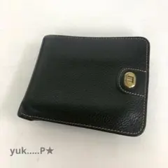 Item thumbnail for item 1a885000-e7c0-47db-a89b-d4c761d9c45b