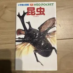 Item thumbnail for item ad59ec04-5316-4c36-a7a2-32ac92ef374b