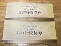 ヤマダ電機　YAMADA HLDGS. お買物優待券 10000円分　5000×
