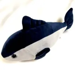 Item thumbnail for item 1ffa028c-4243-429b-b895-78b0420cf90b