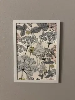 フィンレイソン