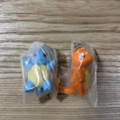 ポケットモンスター ガシャっとコレクト06　2種SET