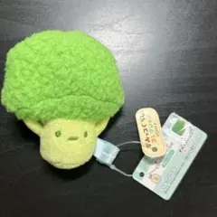 すみっコぐらし　すみっコマーケット ブロッコリー てのりぬいぐるみ