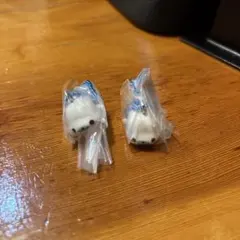 Item thumbnail for item ce9c9507-d43c-4361-9496-f71b97185388