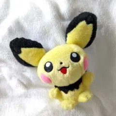 2025年最新】ピチュー兄弟 ぬいぐるみの人気アイテム - メルカリ