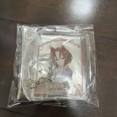 ウマ娘 プリティーダービー colotta ヤエノムテキ