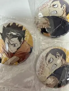 ハイキュー‼︎ ゴミ捨て場の決戦　part2 缶バッジ