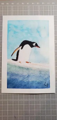 冷静果断　ペンギン　水彩画 　Ag
