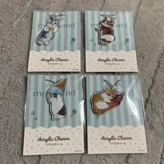 mofusandアクリルチャーム全４種