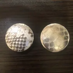 本物の蛇の抜け殻で作った缶バッジ　2個セット