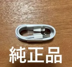 iPhone 充電器 純正 ライトニングケーブル 新品 Apple正規品