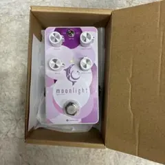 Item thumbnail for item 704131c0-a497-4768-9bcc-e429d968f64f