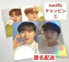 nacific チャンビン　4点セット　①