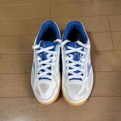 Mizuno バドミントンシューズ23cmのサムネイル