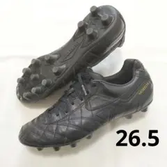 Item thumbnail for item 31200f28-810f-4bb2-9eb5-c26508690090