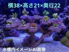 人工ライブロック　PHR83／11穴加工擬岩/60cm水槽〜/海水魚/サンゴ水槽のサムネイル