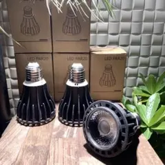 15W植物育成ライトGrowLight 6000K 2個 ライトクリップ2個 - メルカリ