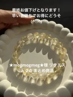 ★mogmogmeg★様 リクエスト 2点 まとめ商品