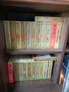 カラー版 国民の文学 23巻セット 河出書房 カラー版 国民の文学 23巻セット 河出書房 - メルカリ