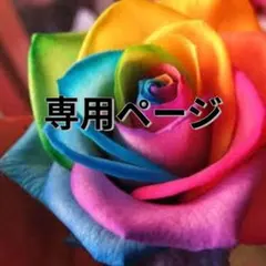 ゆっちゃん様専用