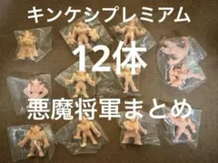 キン消し｜超人全鑑　パート1〜パート13　全205種フルコンプ　大量まとめ キン消し｜超人全鑑 パート1〜パート13 全205種フルコンプ 大量まとめ