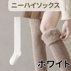 裏起毛　オーバーニー　ソックス 靴下　こたつ　フリーサイズ　レディース　厚手