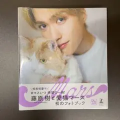 Item thumbnail for item d03fccd7-c363-4872-a40b-25cbfc7d1aea