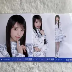 2026年最新】乃木坂 生写真 矢田の人気アイテム - メルカリ