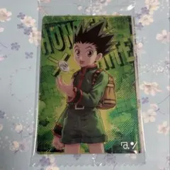 イタジャガ　ハンターハンター　HUNTER HUNTER 4 ゴン　01