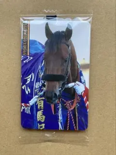 まねき馬　まねき馬倶楽部　競馬カード　丹内祐次騎手　レインボーカード まねき馬 まねき馬倶楽部 競馬カード 丹内祐次騎手 レインボー