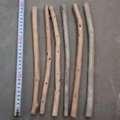 流木 6本セット　29〜31cm 鹿児島産