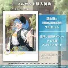 星街すいせい 誕生日＆活動6周年記念箔押し複製サイン入りチェキ風ブロマイドカード