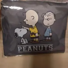 Item thumbnail for item a6980cd7-5ce2-4010-ad58-450de0504de1