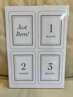 Item thumbnail for item 6d2e44d2-3b15-431c-a95d-e5292c84f73c